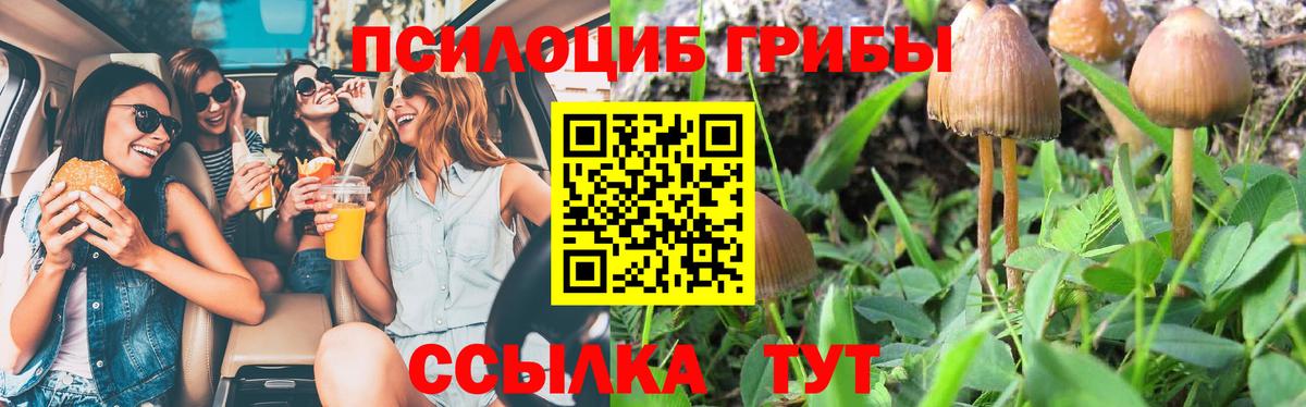 Псилоцибиновые грибы ЛСД  Галлюциногенные грибы прущие грибы  Мегион  Вход с VPN 