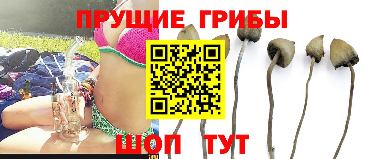 Галлюциногенные грибы мицелий Мегион